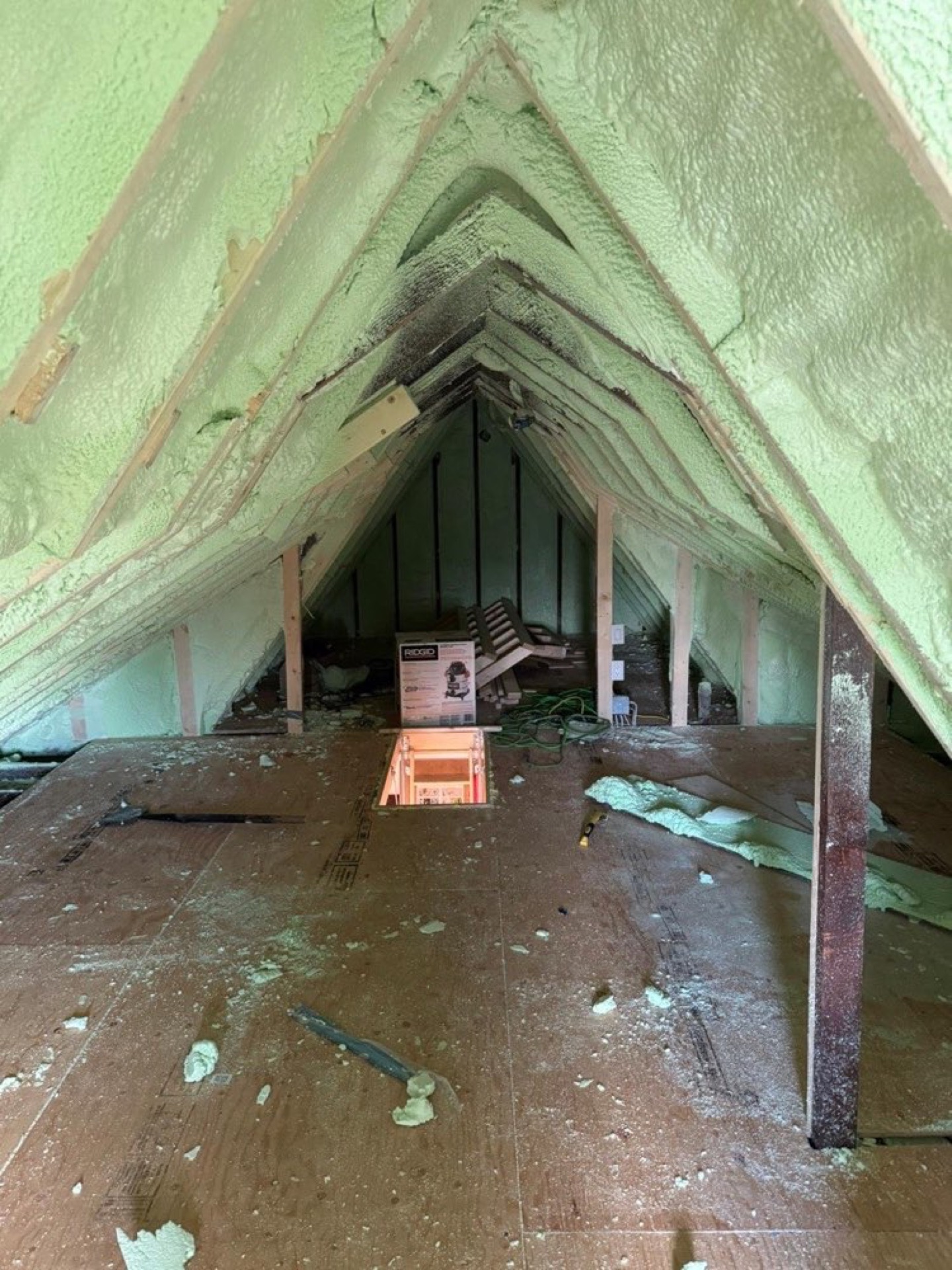 Green-coloured foam across sloping attic surfaces with exposed timber framing and a floor access opening.